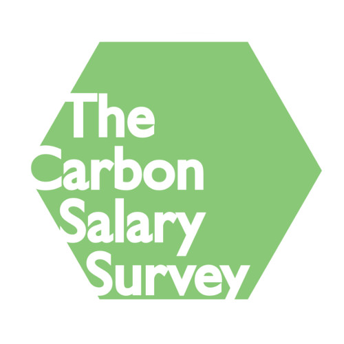 Carbon Salary Survey 2010